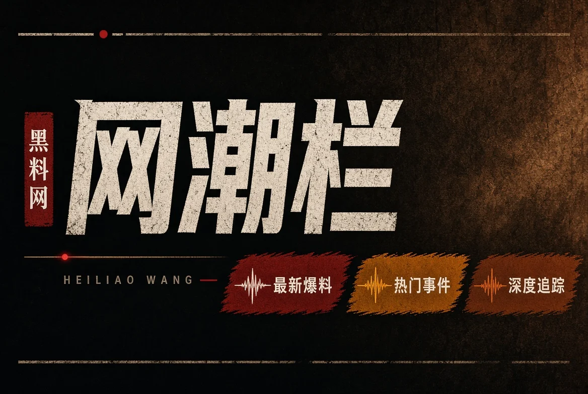 网浪栏公开资料主题视觉